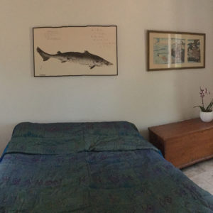 Guest Bedroom Panorama