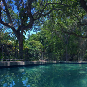 Pool Panorama