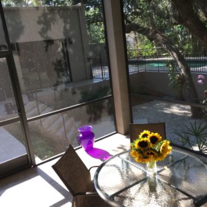 Screened Porch with view to Pool