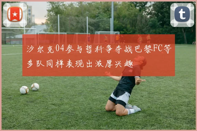 沙尔克04参与哲科争夺战巴黎FC等多队同样表现出浓厚兴趣